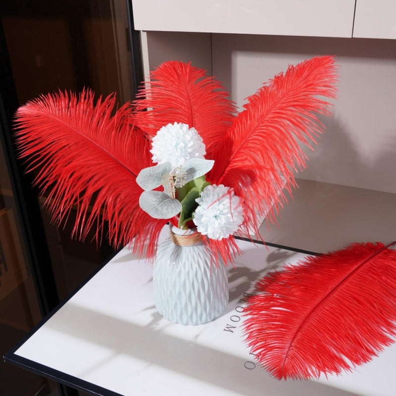 Shekyeon 16-18inch Red Ostrich Feathers DIY Craft Large Feather for Wedding Party Centerpicecs Flower Arrangement and Easter Gatsbi Decortion Pack of 10 - Image 2